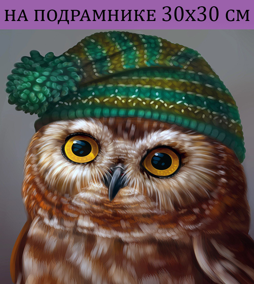 

Алмазная мозаика HWH0200 сова в зеленой шапке 30х30 на подрамнике, 30х30