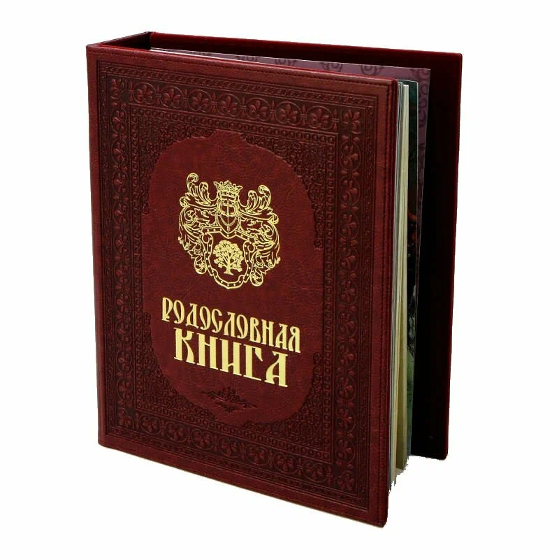 

Родословная книга 24.5*31.5*5 см.