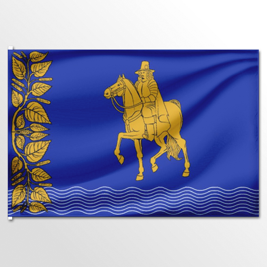 

Флаг ЦТП ФЕНИКС Оккервиля 135x90 см, 3034-135x90