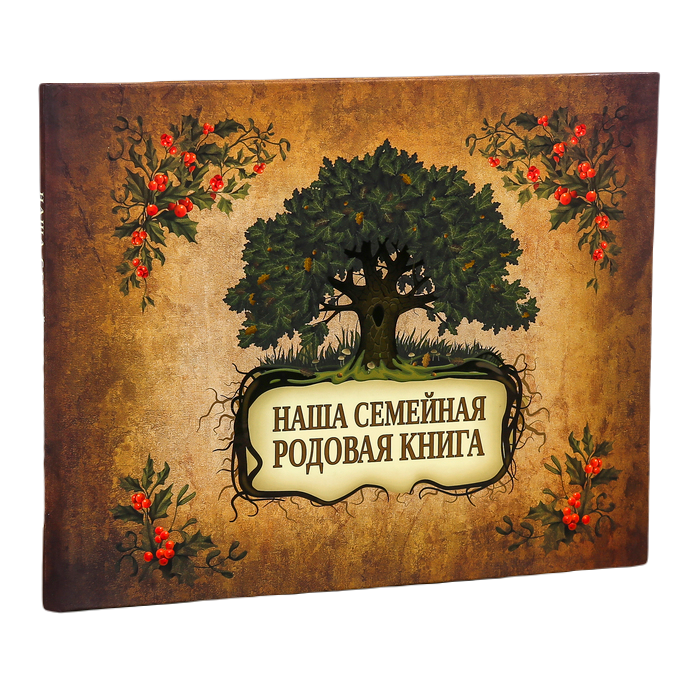 

Эксмо Фотоальбом Наша семейная родовая книга 48 страниц