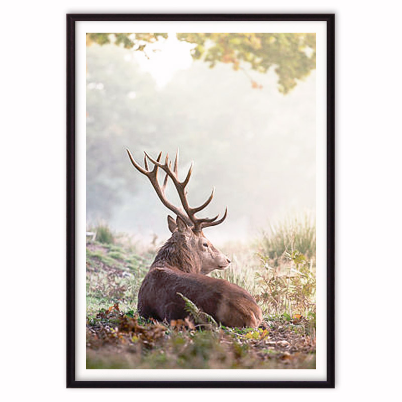 

Постер в рамке Олень в лесу - 30х40 см Дом Корлеоне, Олень в лесу