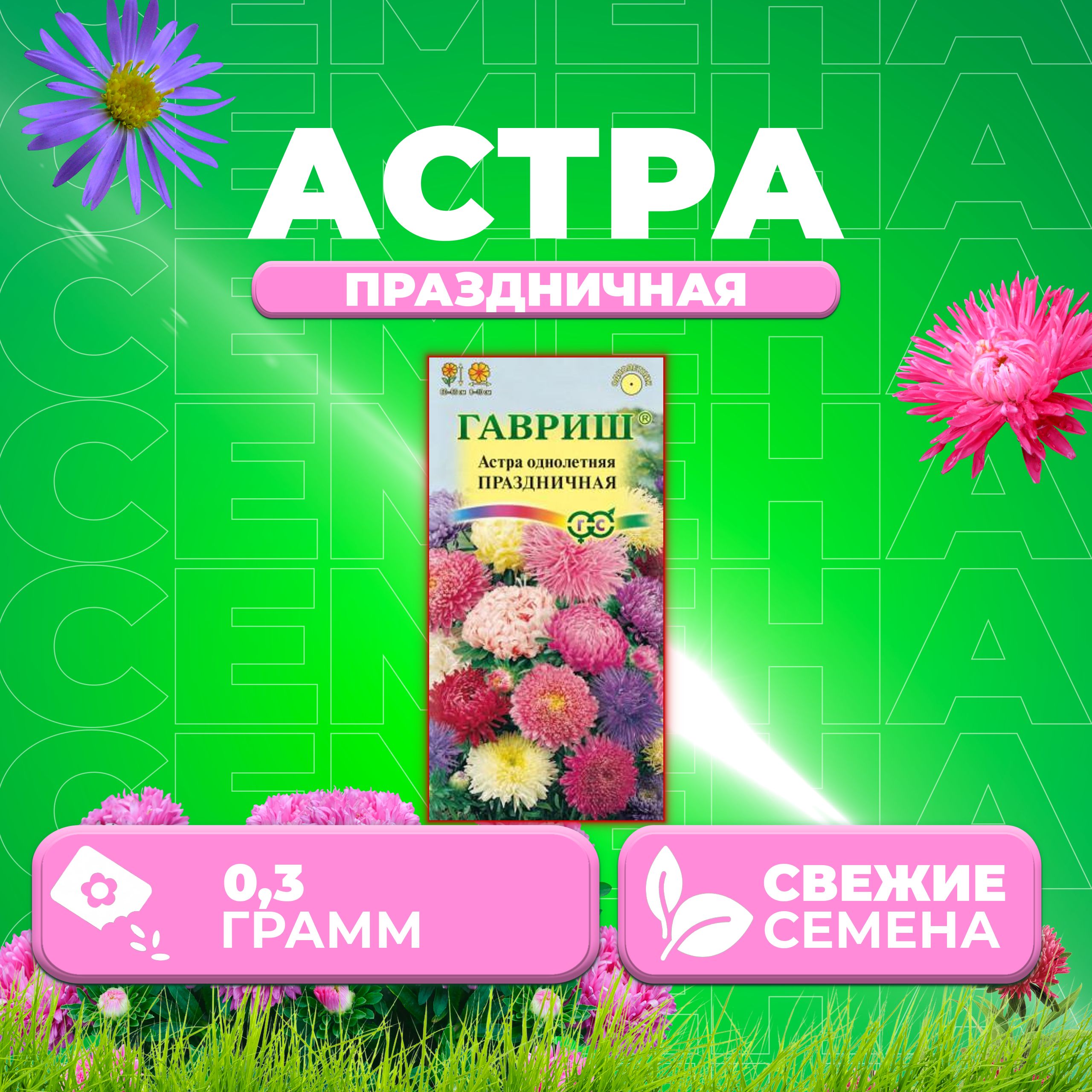 

Семена Астра Праздничная, смесь, 0,3г, Гавриш, Цветочная коллекция 1 уп