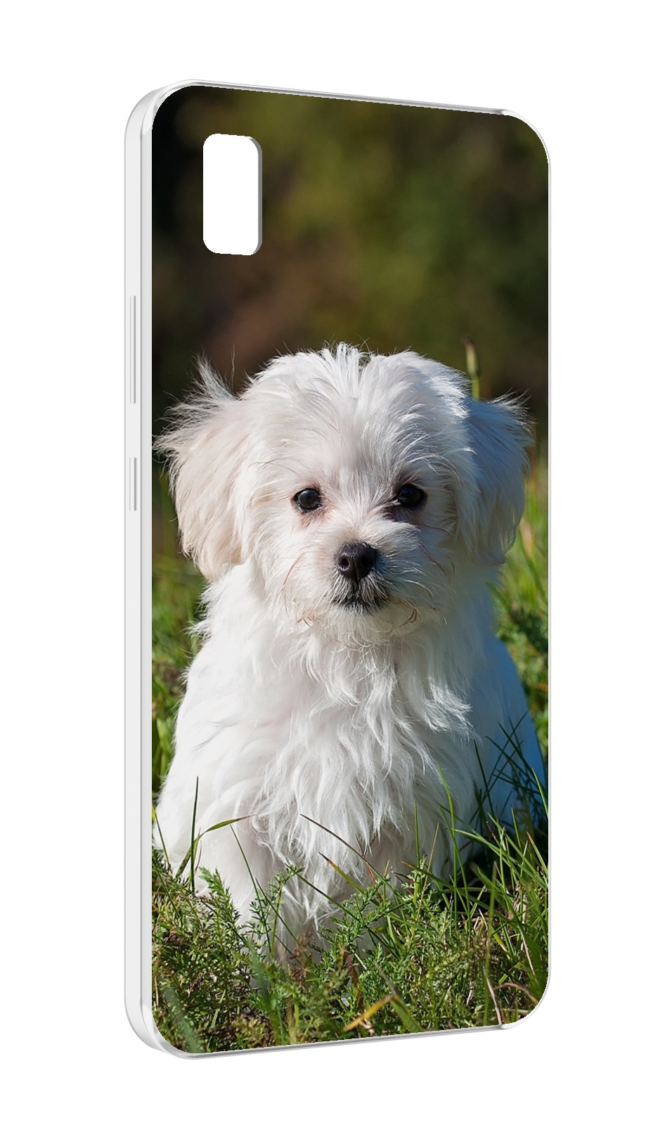 Чехол MyPads мальтии?ская-болонка для ZTE BLADE L210
