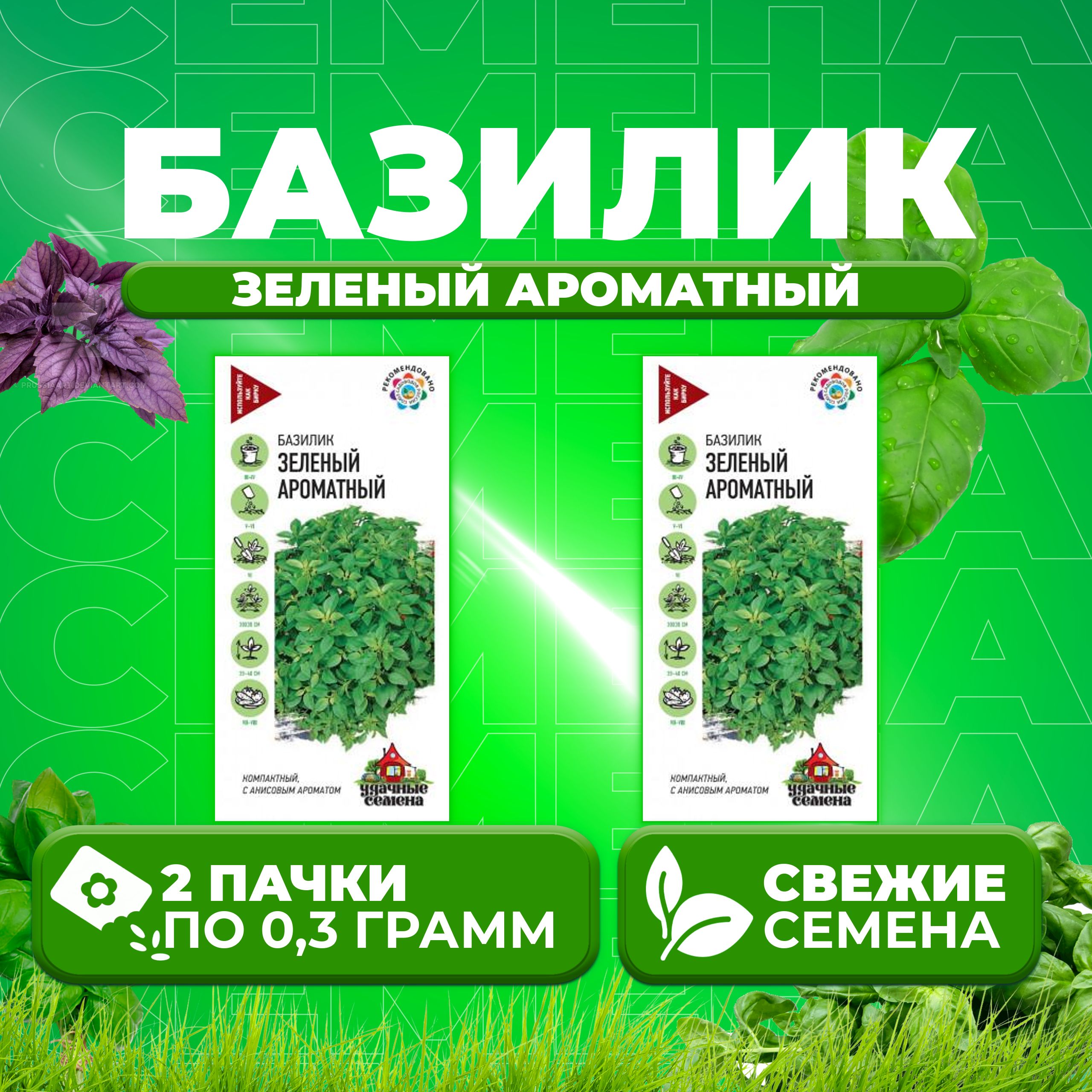 

Семена Базилик Зеленый ароматный, 0,3г, Удачные семена 2 уп
