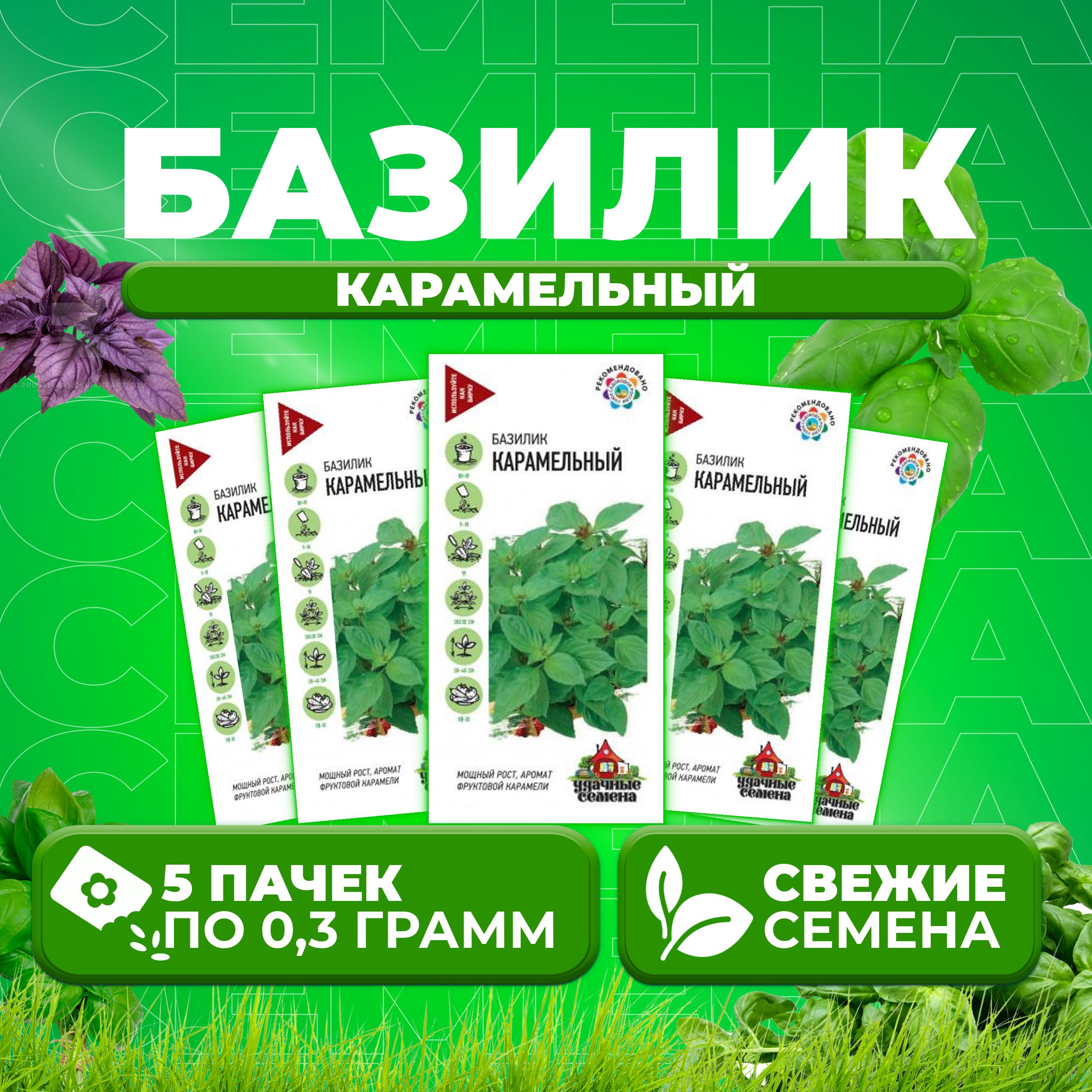 

Семена Базилик Карамельный, 0,3г, Удачные семена 5 уп