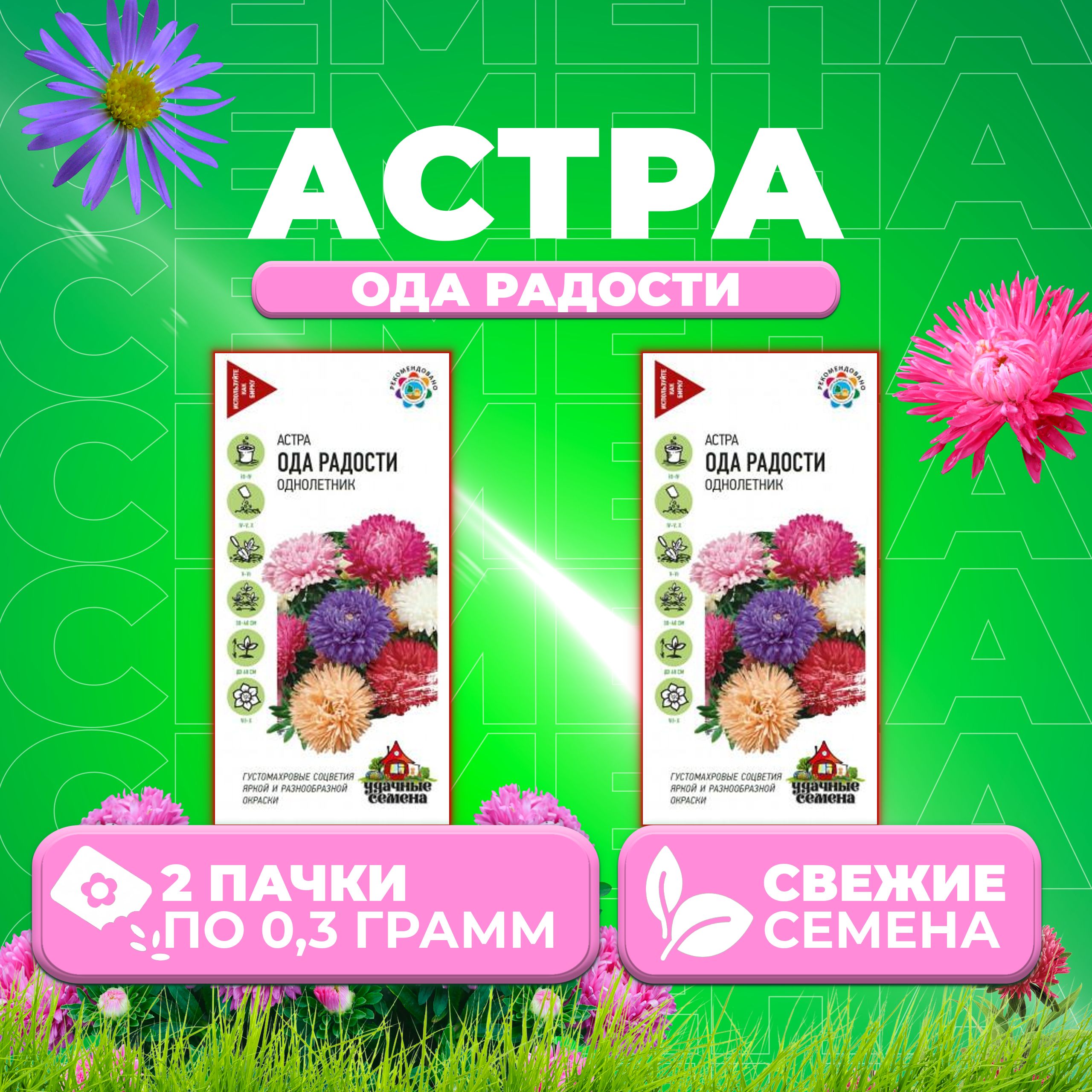 

Семена Астра Ода радости, смесь, 0,3г, Удачные семена 2 уп