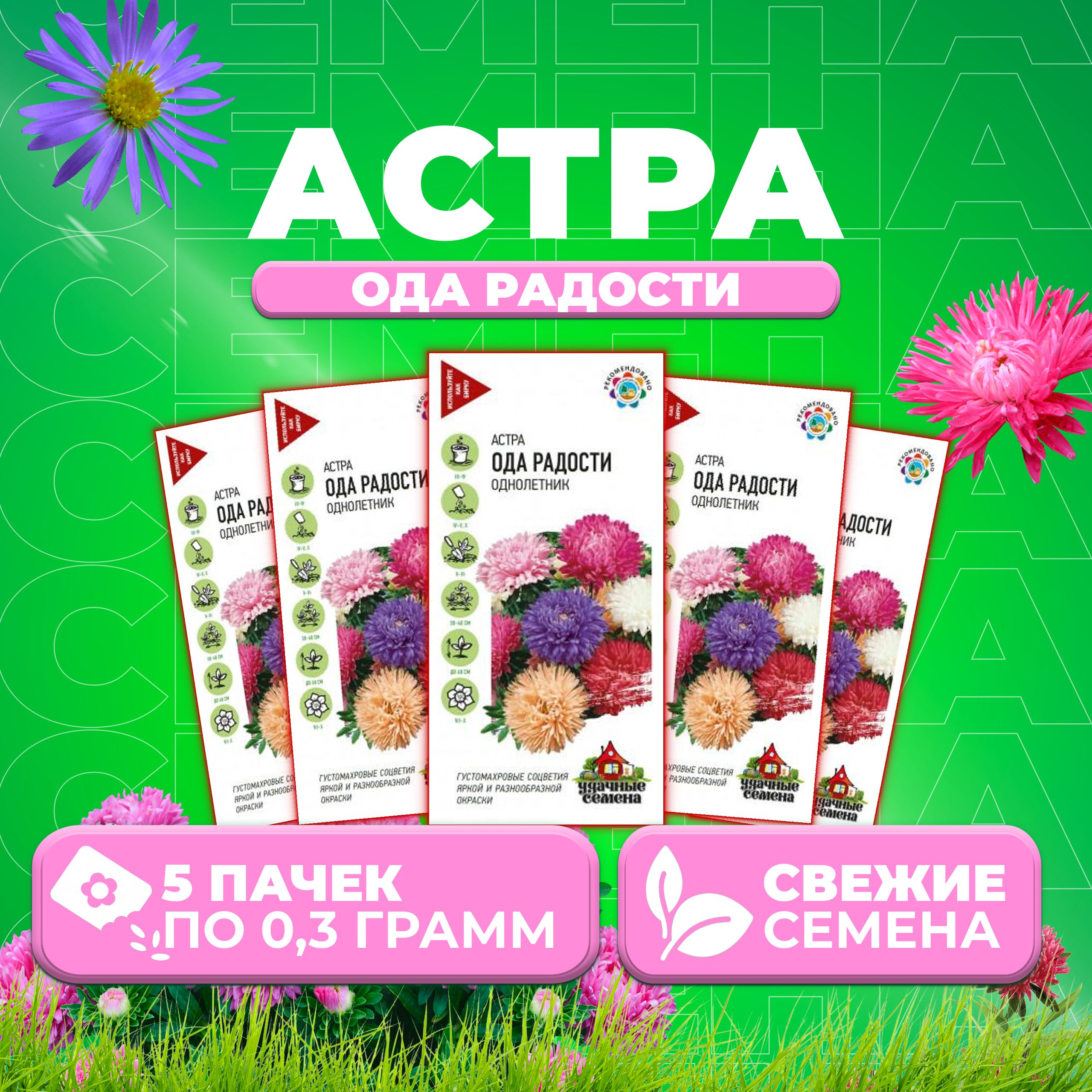 

Семена Астра Ода радости, смесь, 0,3г, Удачные семена 5 уп