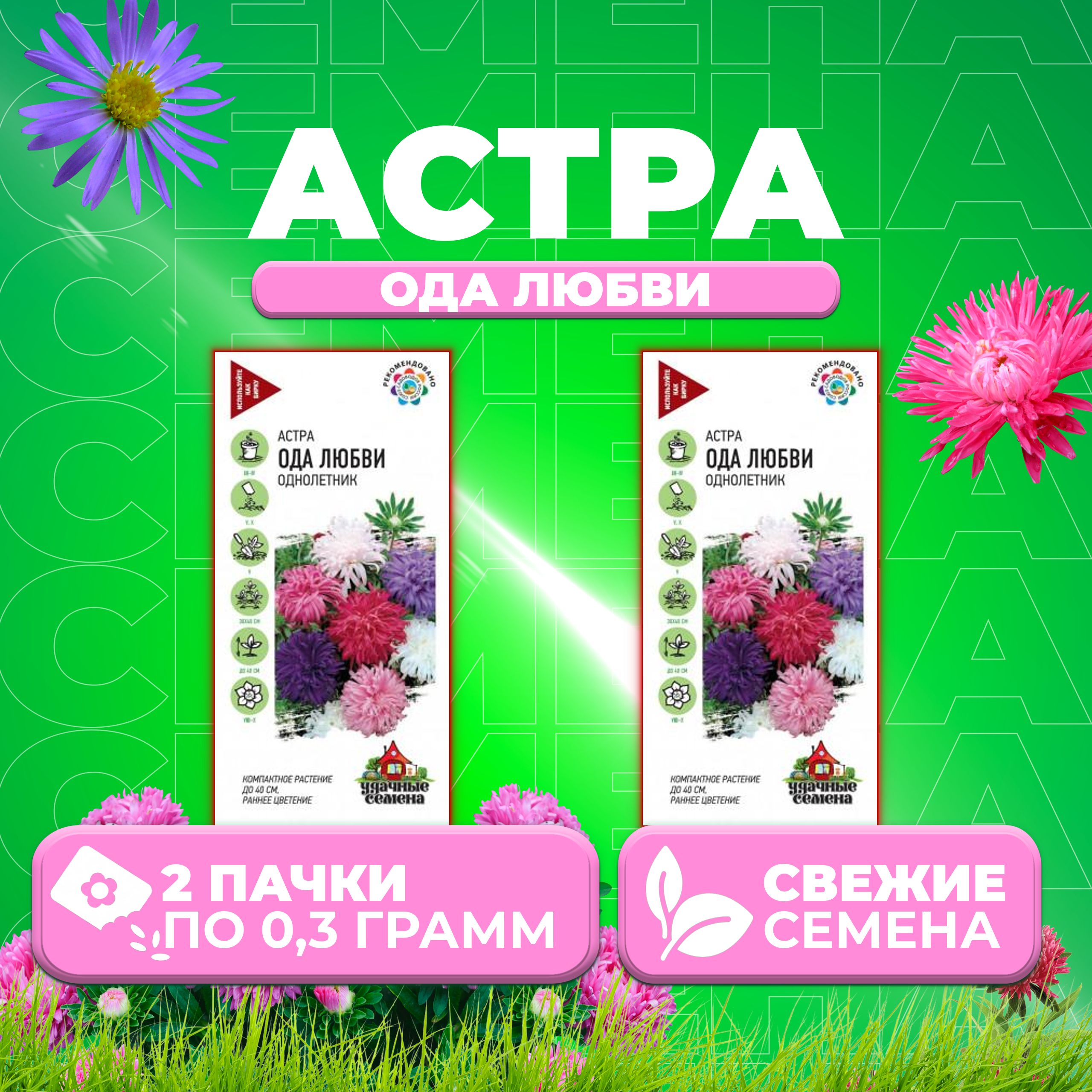

Семена Астра Ода любви, смесь, 0,3г, Удачные семена 2 уп
