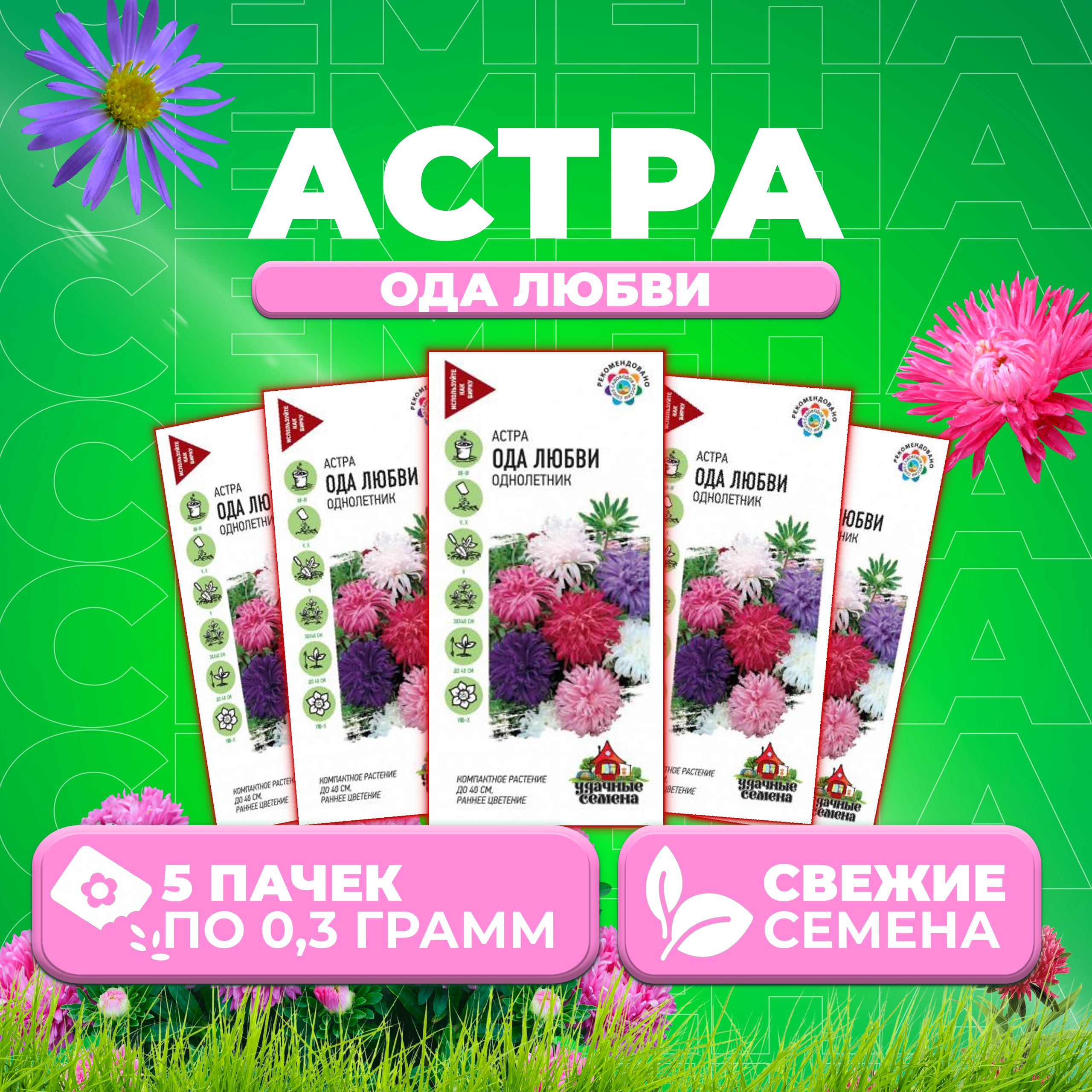 

Семена Астра Ода любви, смесь, 0,3г, Удачные семена 5 уп
