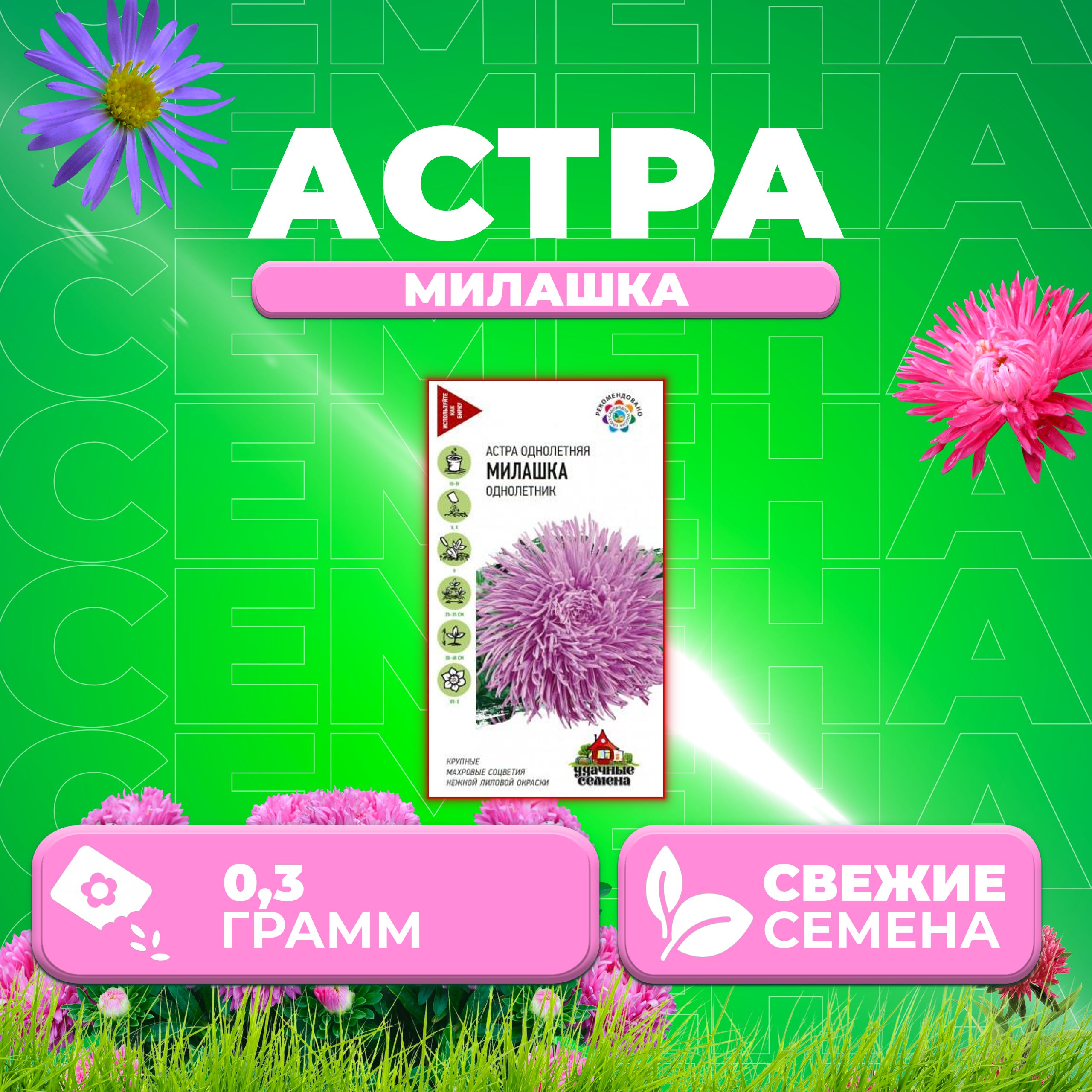 

Семена Астра Милашка, 0,3г, Удачные семена 1 уп