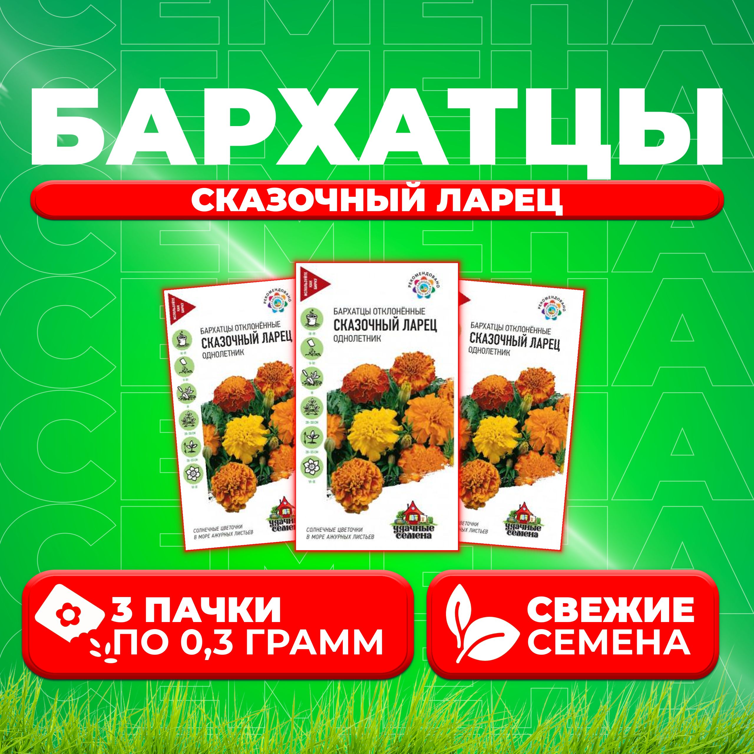 

Семена Бархатцы отклоненные тагетес Сказочный ларец, 0,3г, Удачные семена 3 уп