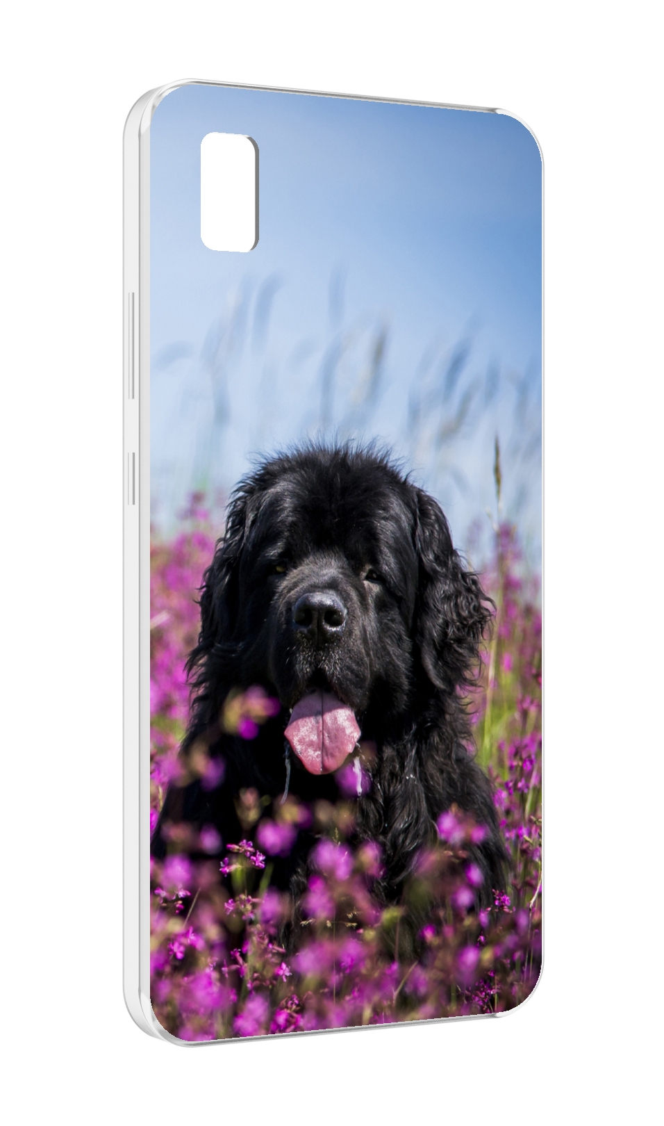 

Чехол MyPads ньюфаундлед для ZTE BLADE L210, Прозрачный, Tocco