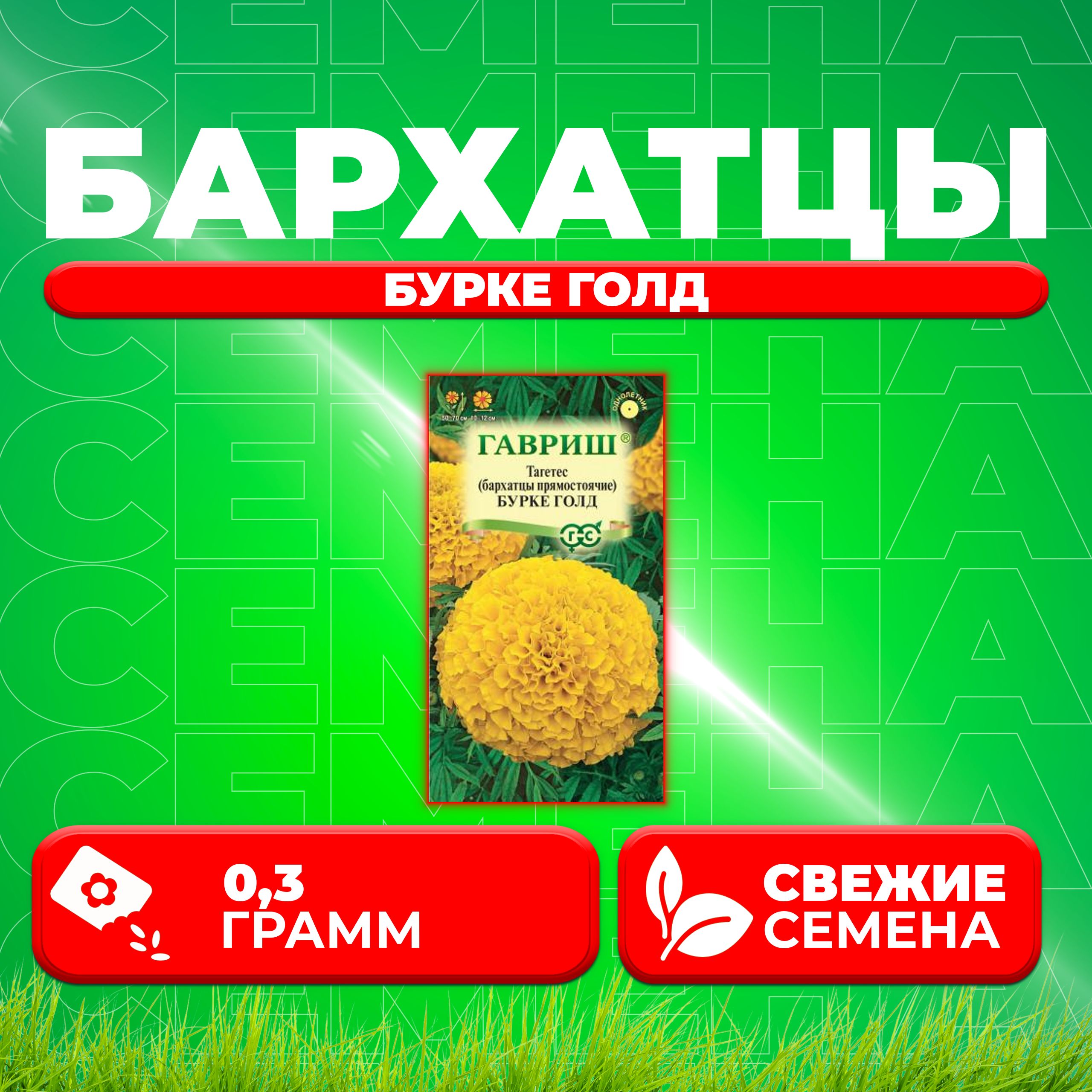 

Семена Бархатцы прямостоячие тагетес Бурке Голд, 0,3г, Гавриш 1 уп