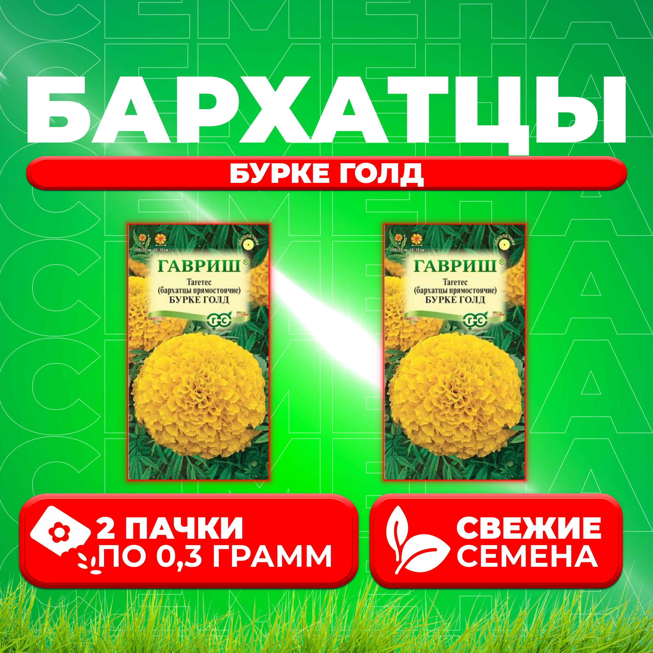 

Семена Бархатцы прямостоячие тагетес Бурке Голд, 0,3г, Гавриш 2 уп