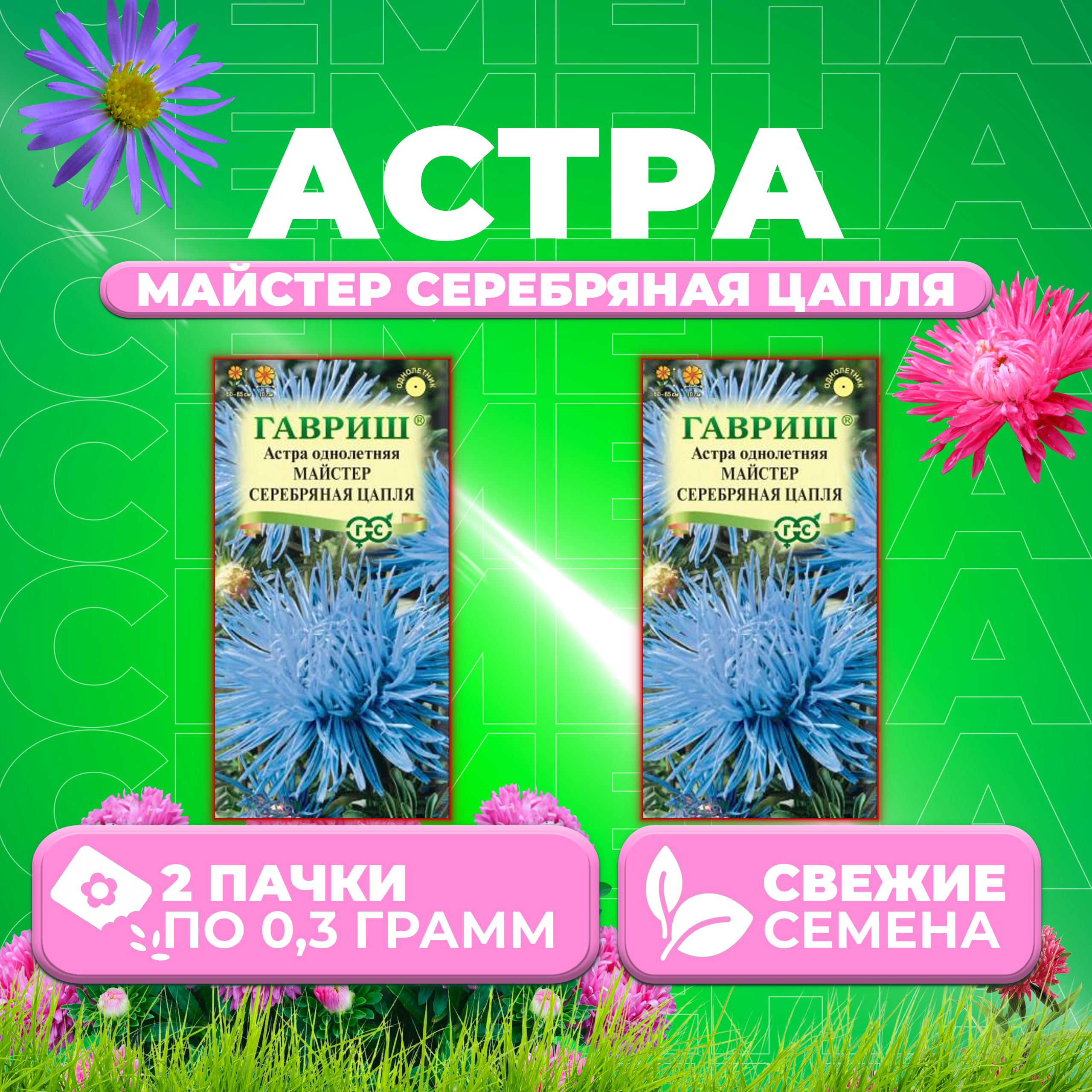 Семена Астра Майстер Серебряная цапля, игольчатая, 0,3г, Гавриш 2 уп