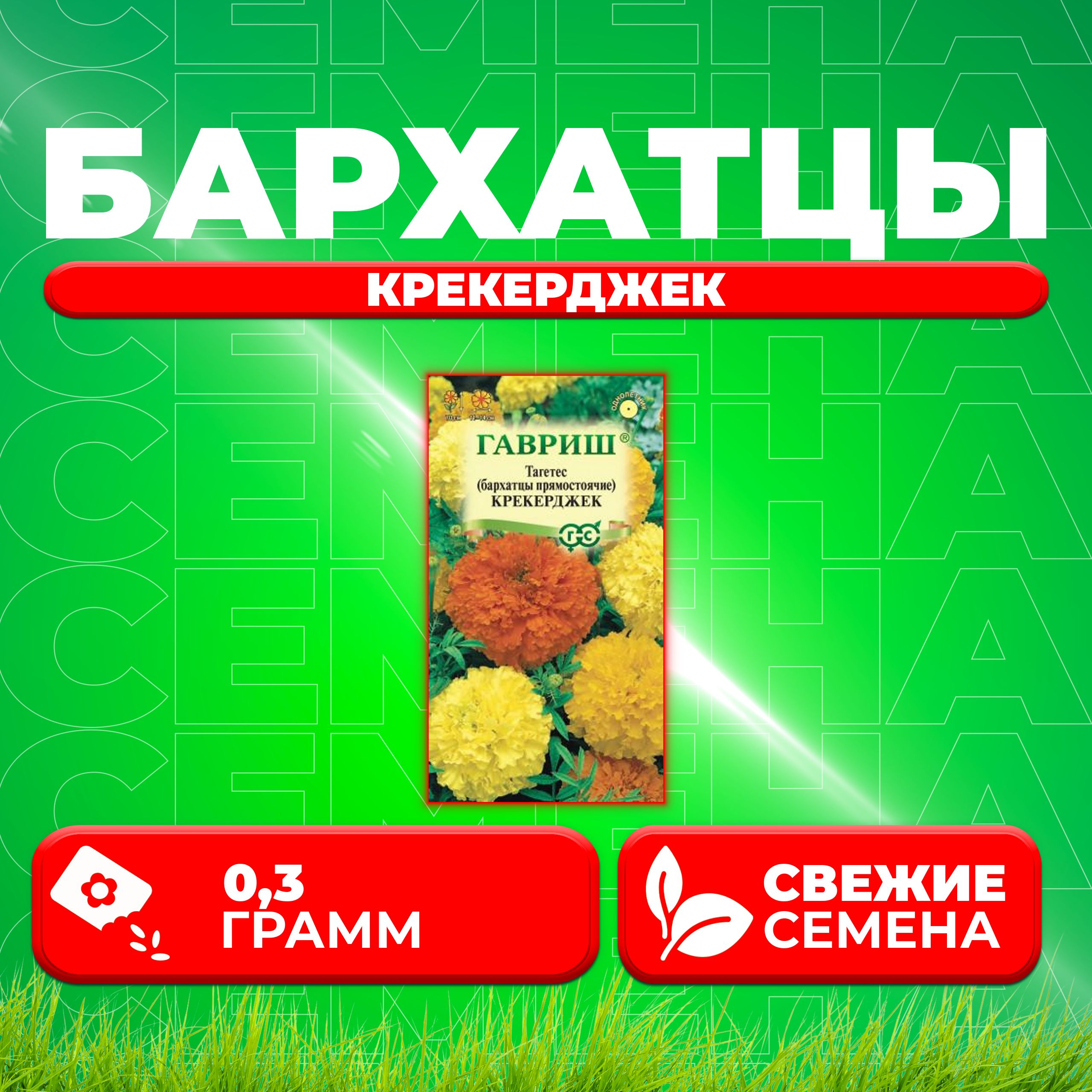 

Семена Бархатцы прямостоячие тагетес Крекерджек, 0,3г, Гавриш 1 уп