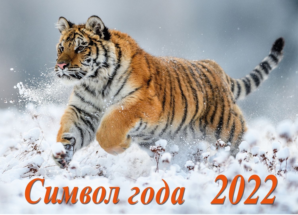 

Календарь настенный перекидной ND Play Символ года 2. Маркет на 2022 год