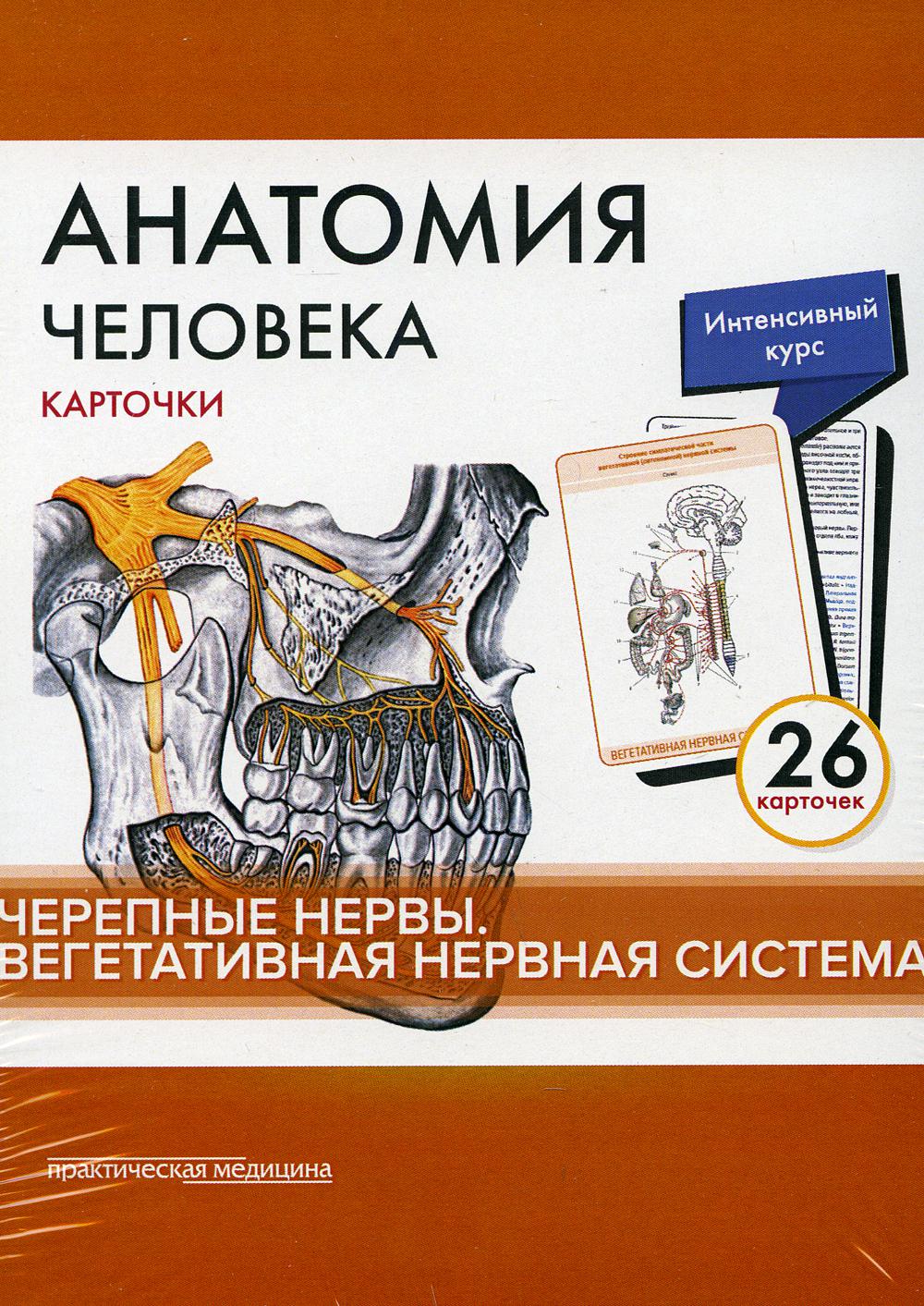Анатомия человека: карточки. (26 шт). Черепные нервы. Вегетативная нервная система