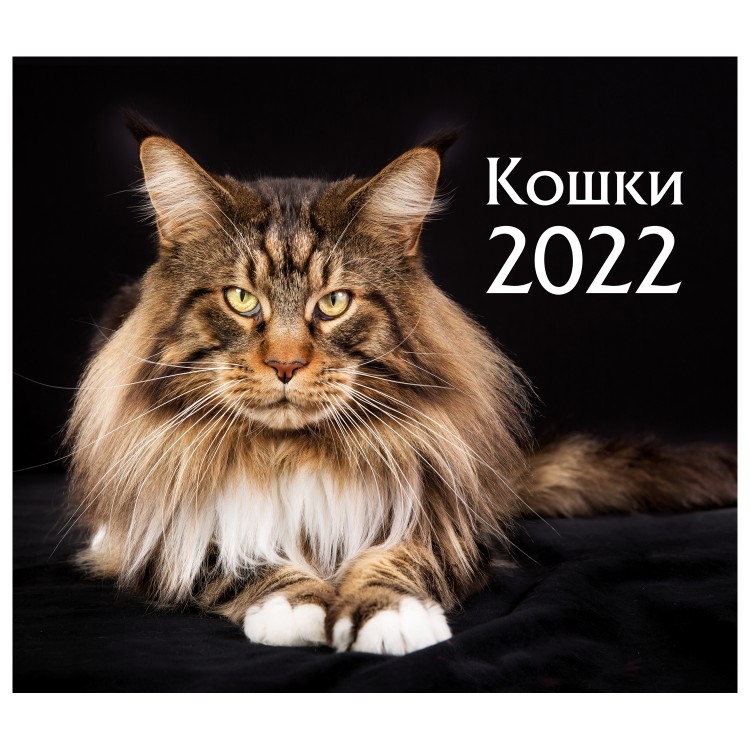 

Календарь-домик (евро) ND Play Кошки. Маркет на 2022 год