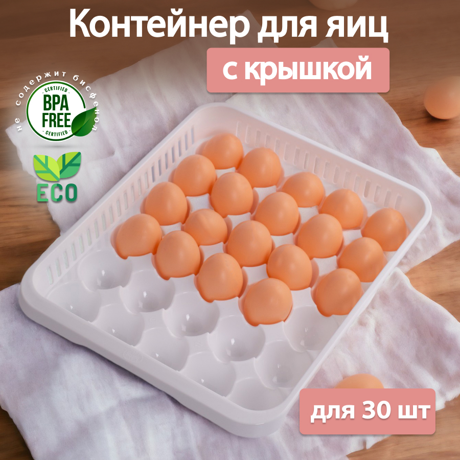 Контейнер для яиц 30 штук HOBBY LIFE прямоугольный с крышкой