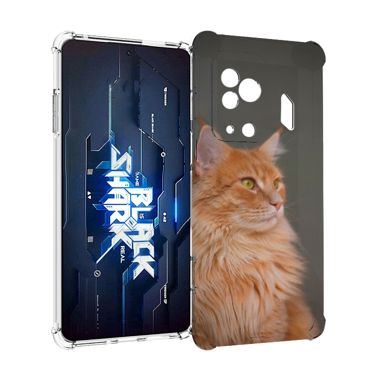 

Чехол MyPads кошка меин кун 1 для Xiaomi Black Shark 5 Pro, Прозрачный, Tocco