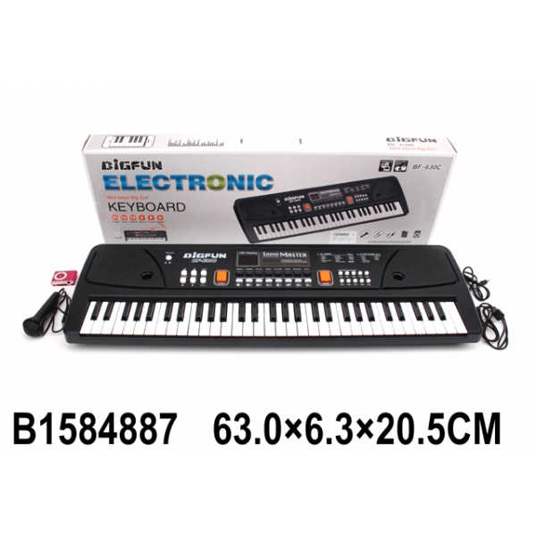 

Электроорган (220V) с микрофоном, с плеером арт B1584887