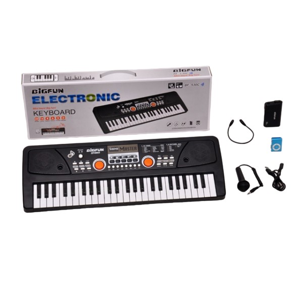 

Электроорган (220V/на аккумуляторе) с микрофоном, Usb провод арт B1587046