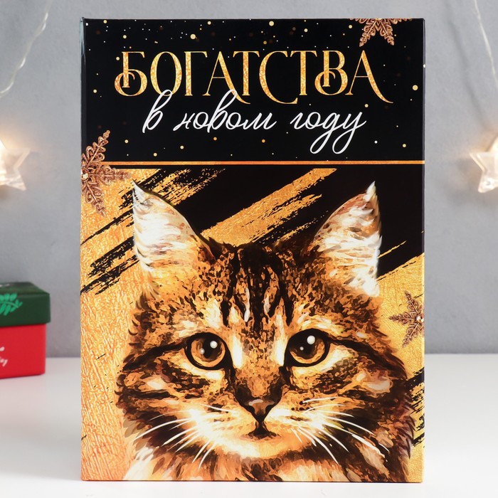 

Шкатулка-книга "Кот. Богатства" 17х23 см
