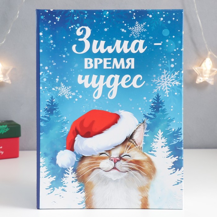 

Шкатулка-книга "Кот. Зима" 17х23 см