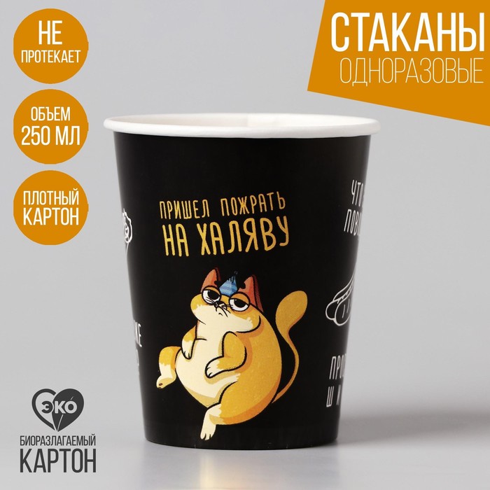 

Стакан бумажный «Котик обжора», 250 мл, однослойный(10 шт.), Разноцветный