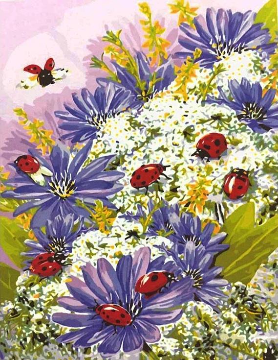 

Картина по номерам Цветной Божьи коровки, 40x50, Божьи коровки