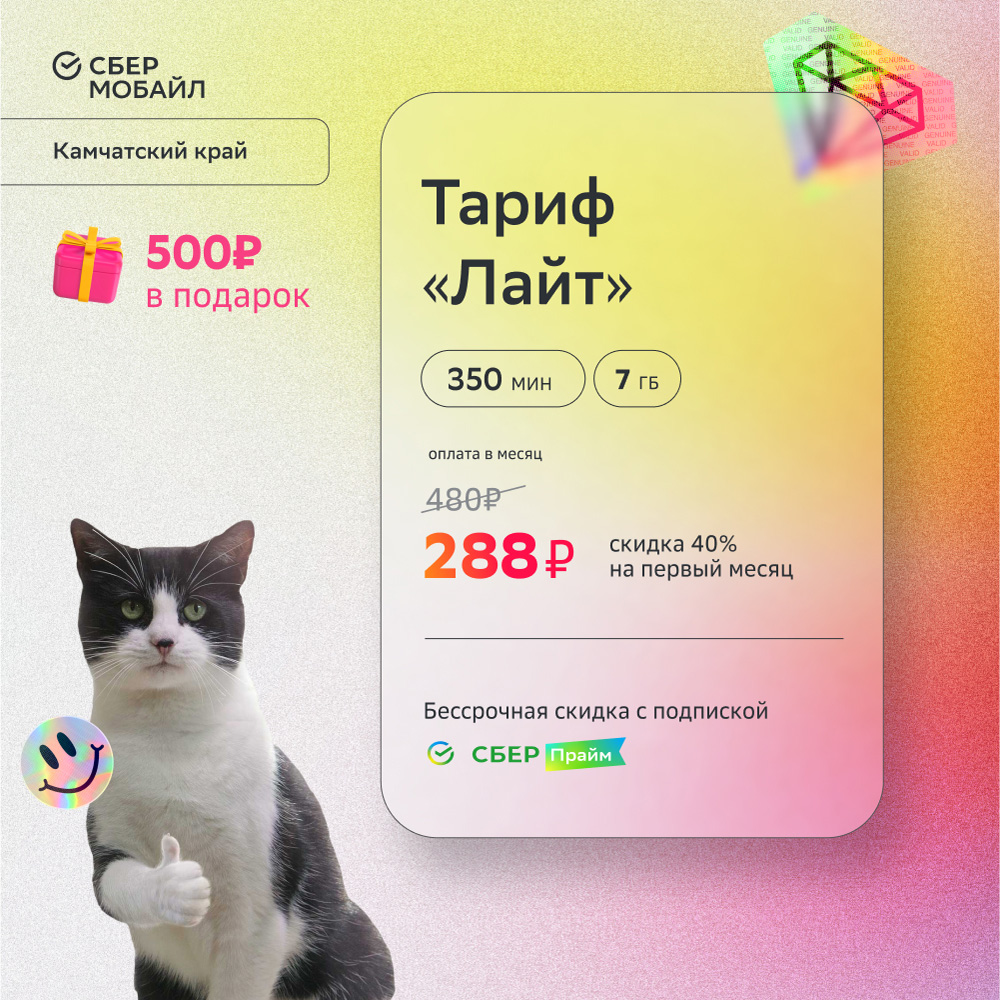 

SIM-карта СберМобайл. Тариф Лайт (Камчатский край)