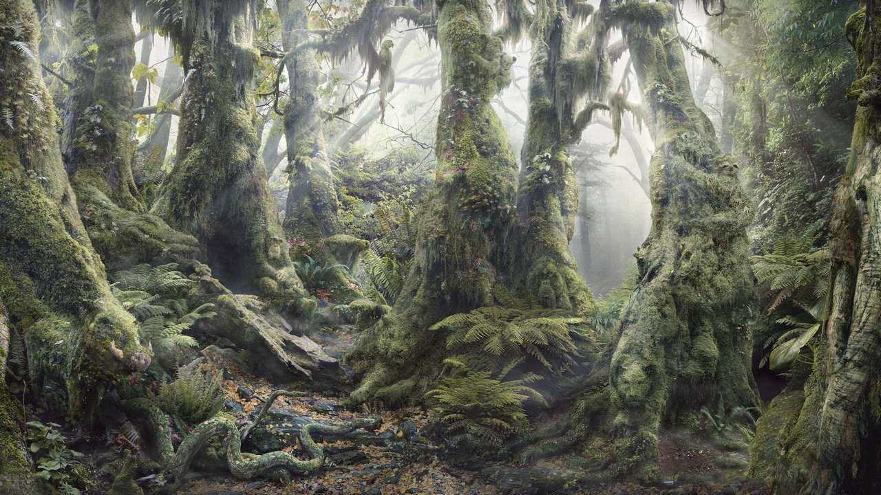 

Картина на холсте 60x110 LinxOne Природа, пейзаж, натура, флора