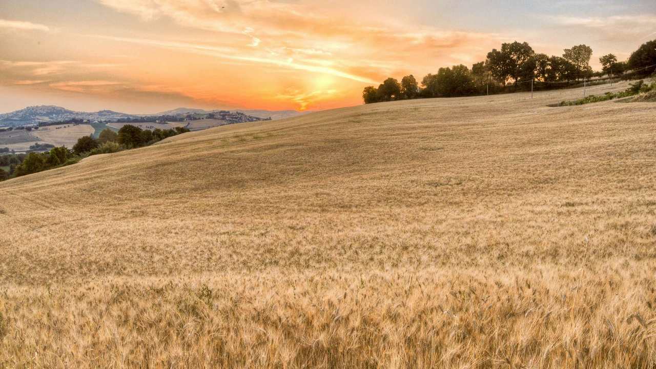 

Картина на холсте 60x110 LinxOne Природа, пейзаж, натура, флора