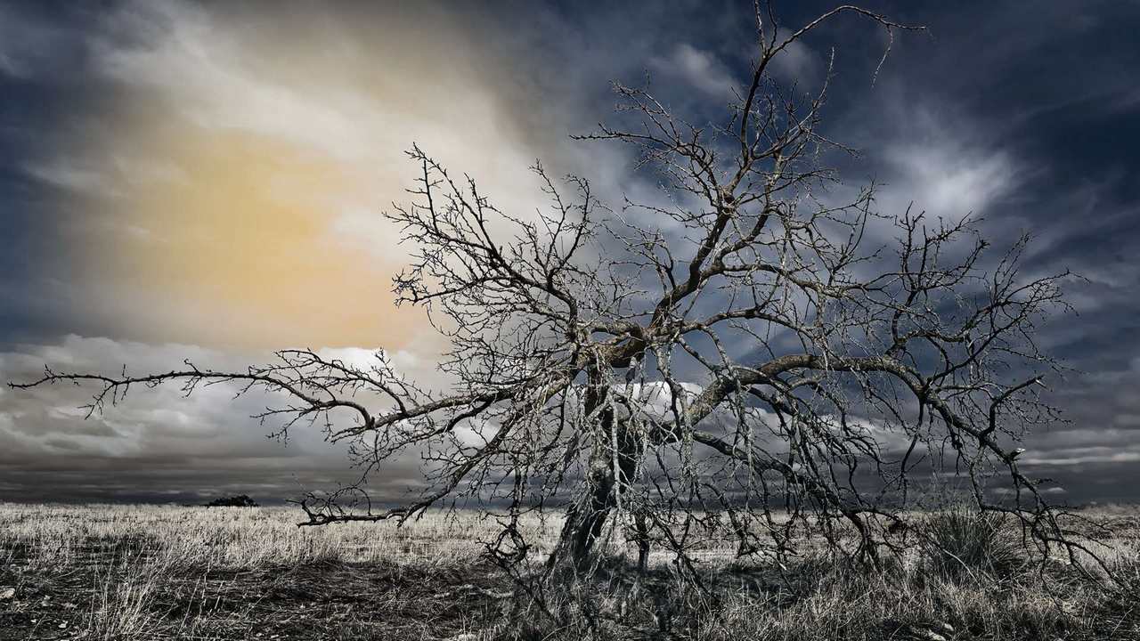 

Картина на холсте 60x110 LinxOne Природа, пейзаж, натура, флора