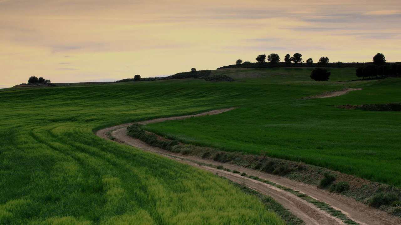 

Картина на холсте 60x110 LinxOne Природа, пейзаж, натура, флора