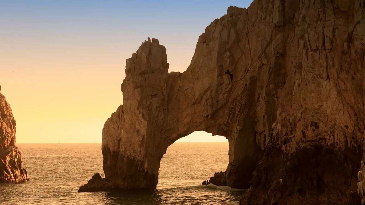 

Картина на холсте 60x110 LinxOne Природа, пейзаж, натура, флора