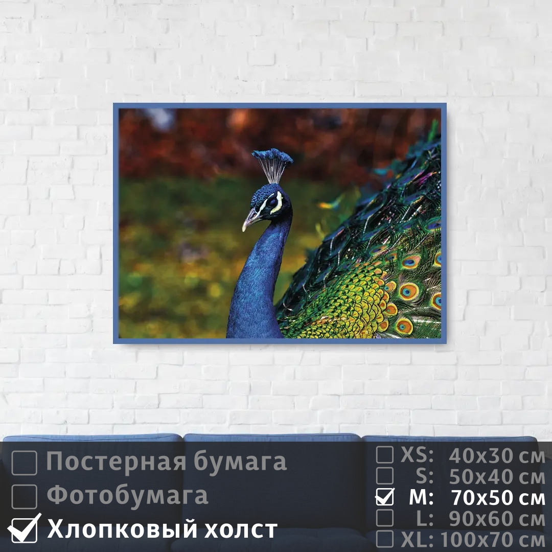 

Постер на холсте ПолиЦентр Голубой павлин с красочным оперением 70х50 см, ГолубойПавлинСКрасочнымОперением