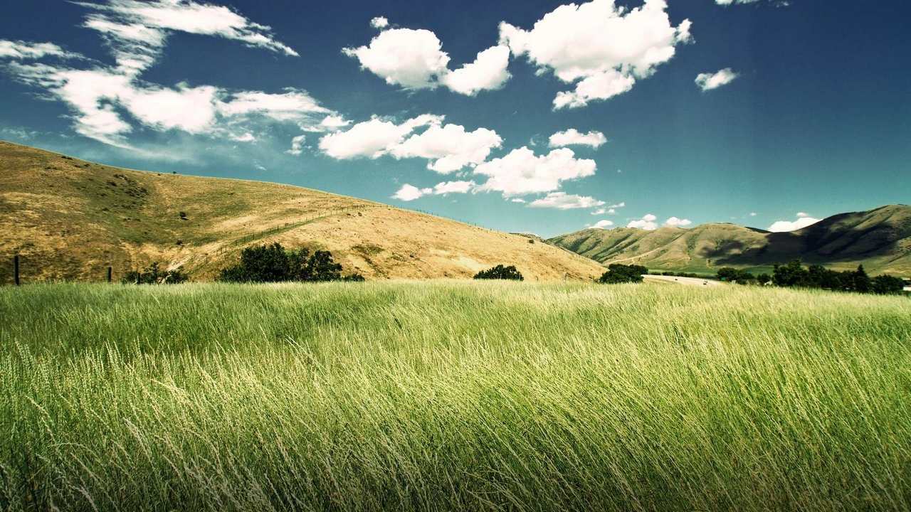 

Картина на холсте 60x110 LinxOne Природа, пейзаж, натура, флора