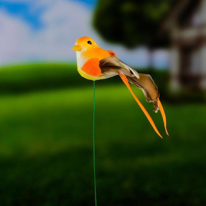 Штекер для комнатных растений 