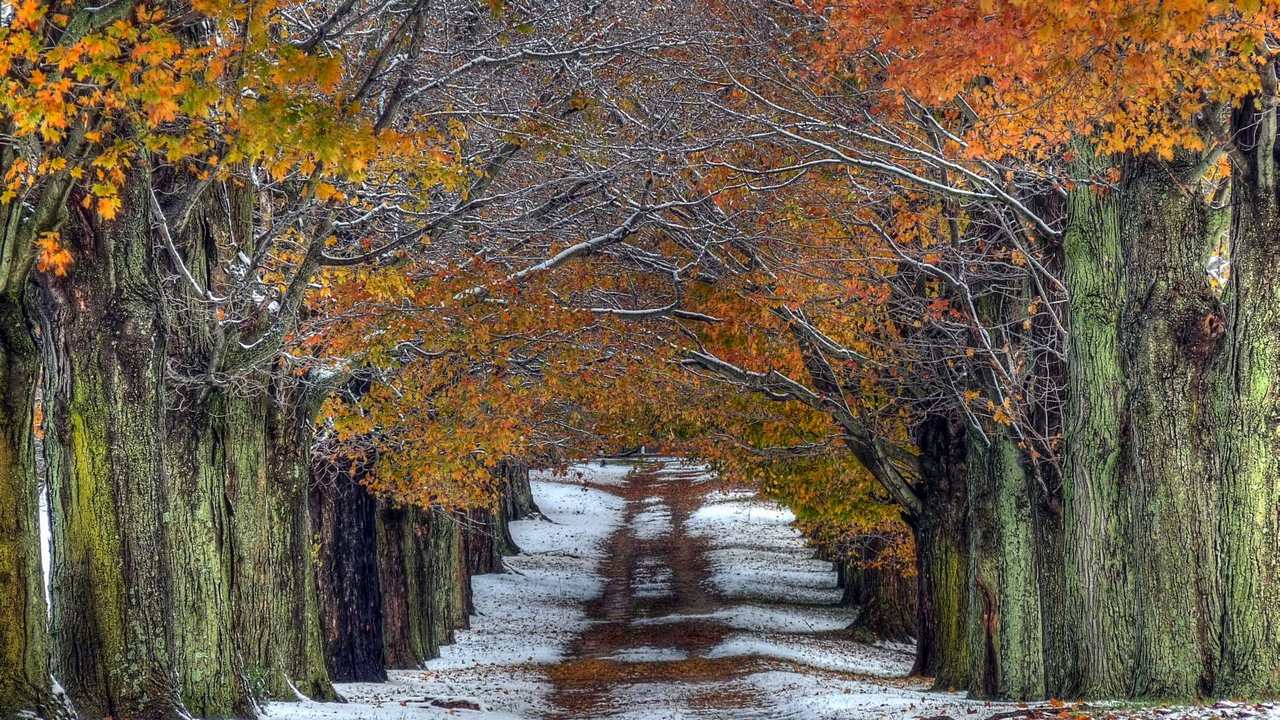 

Картина на холсте 60x110 LinxOne Природа, пейзаж, натура, флора