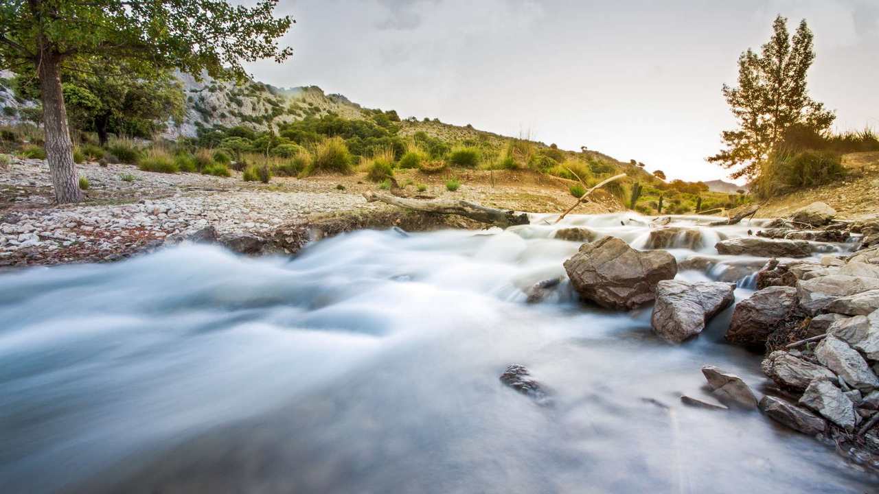 

Картина на холсте 60x110 LinxOne Природа, пейзаж, натура, флора