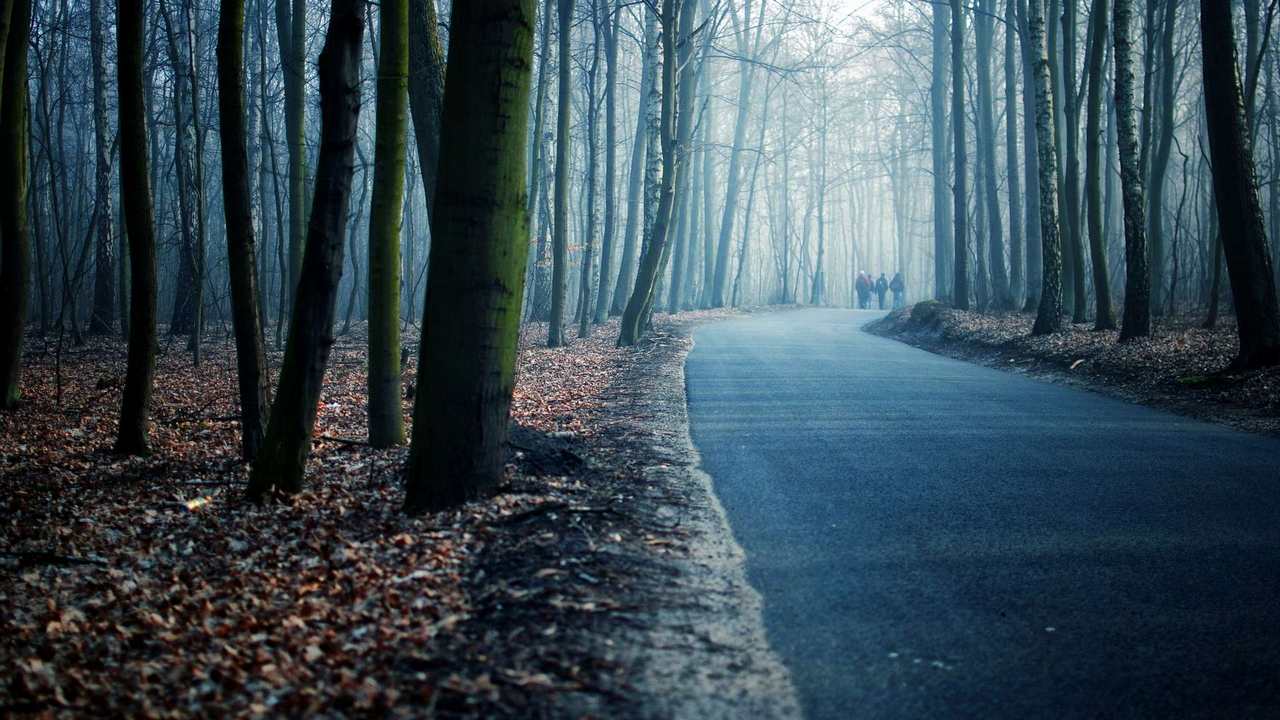 

Картина на холсте 60x110 LinxOne Природа, пейзаж, натура, флора