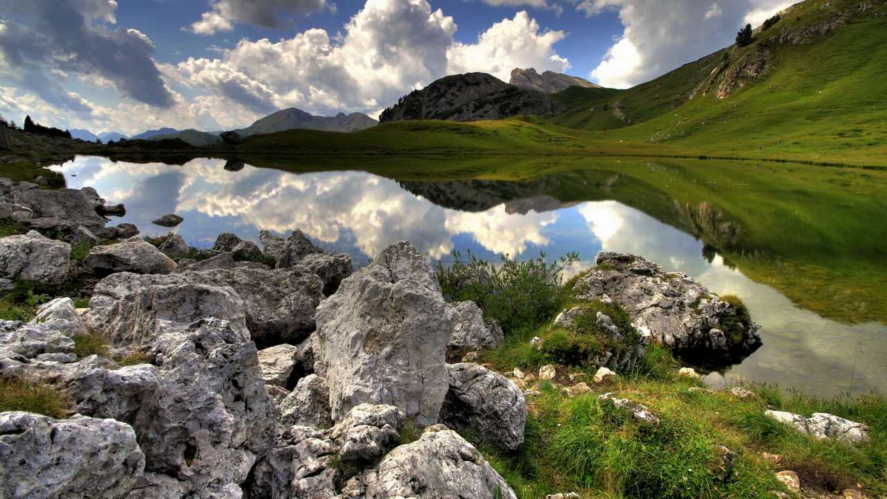 

Картина на холсте 60x110 LinxOne "Природа, пейзаж, натура, флора