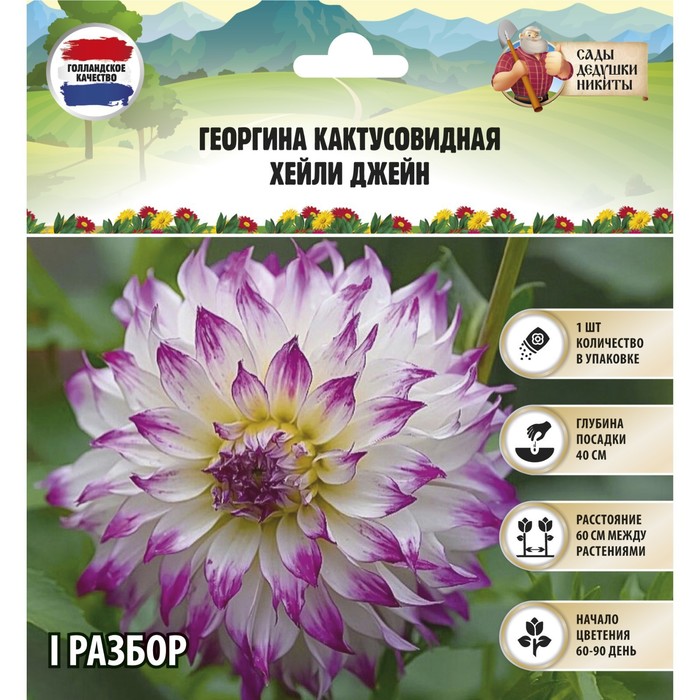 

Корневища георгин Сады Дедушки Никиты Hayley Jane 9513309 1 шт.