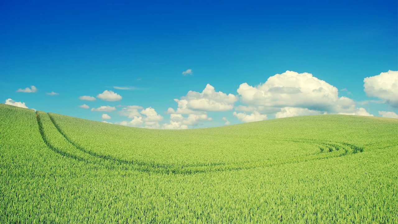 

Картина на холсте 60x110 LinxOne "Природа, пейзаж, натура, флора