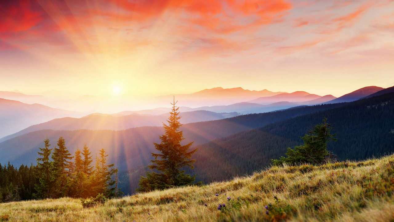 

Картина на холсте 60x110 LinxOne "Природа, пейзаж, натура, флора