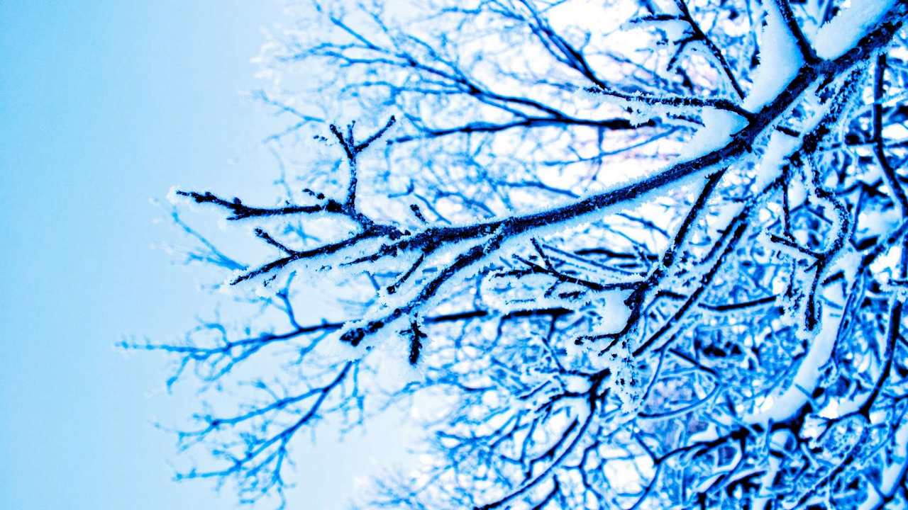 

Картина на холсте 60x110 LinxOne "Природа, пейзаж, натура, флора