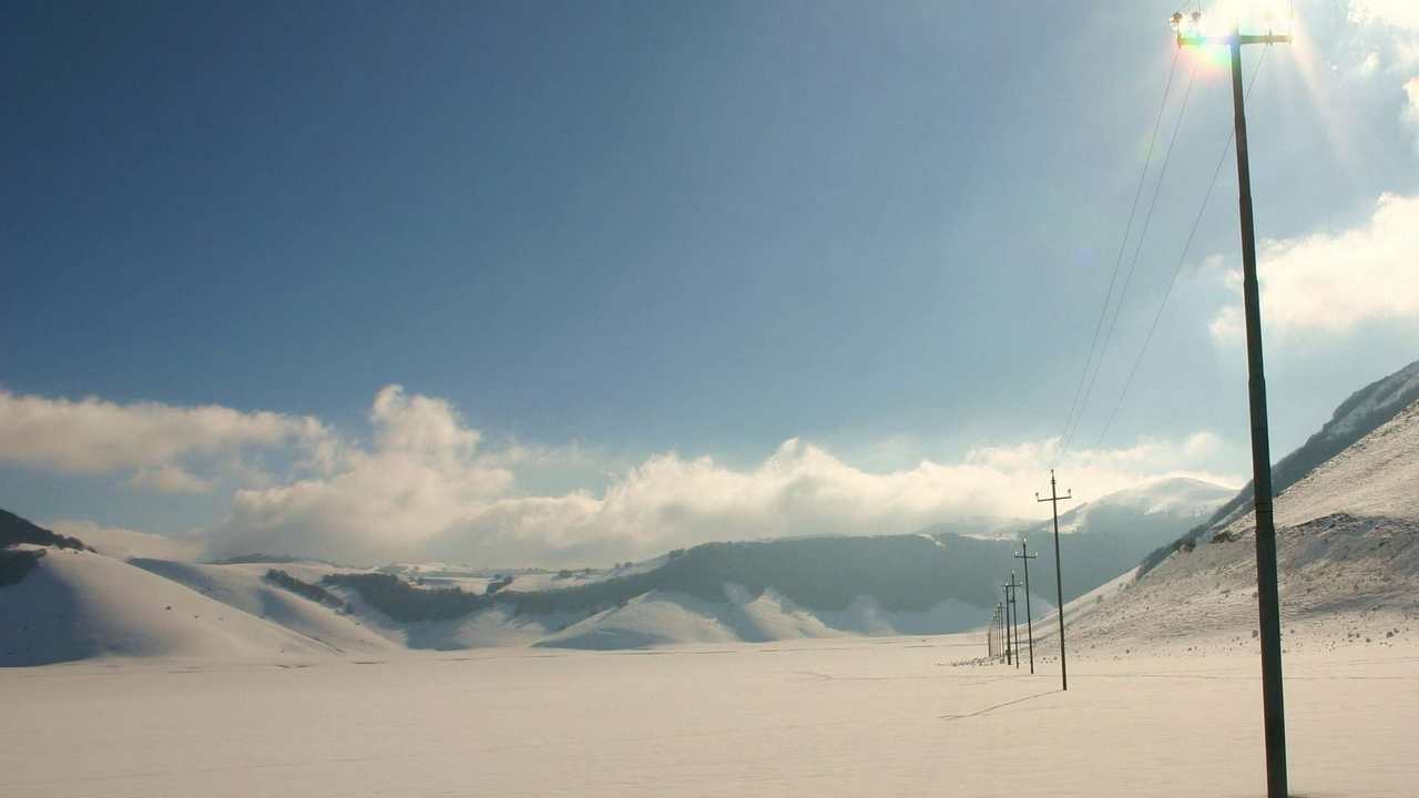 

Картина на холсте 60x110 LinxOne "Природа, пейзаж, натура, флора