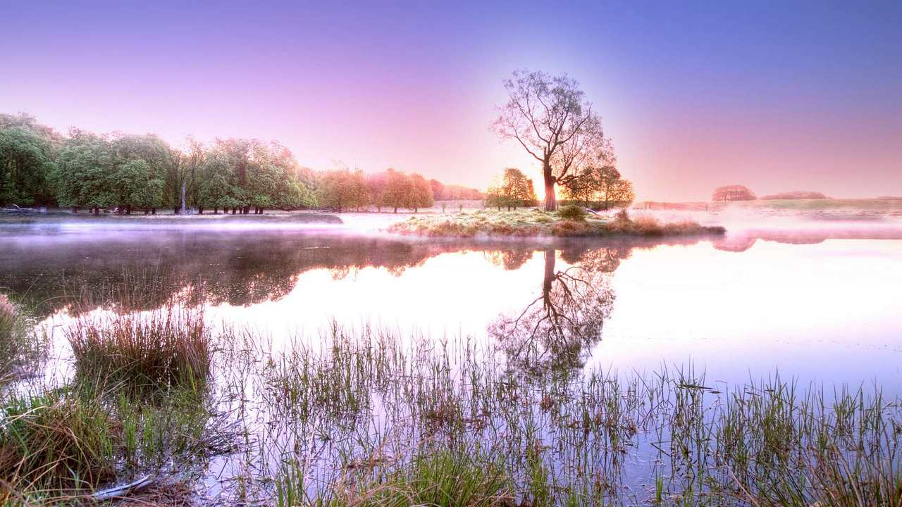 

Картина на холсте 60x110 LinxOne "Природа, пейзаж, натура, флора